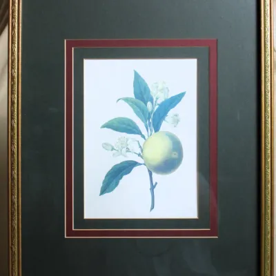 Green Apple Print Framed
$25.00
21.5in. x 17.5in.