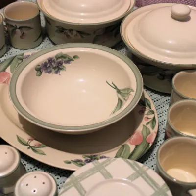 Pfalzgraff Garden Party Collection Dish Set
$60.00
