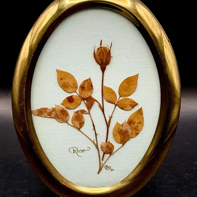 Signed Vintage Framed Dried Flower Art 