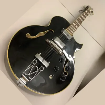 Jay Turser Semi-hollow JT134 Electric Guitar In Black