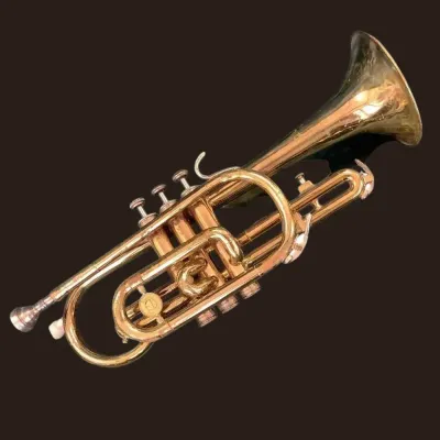 Holton Collegiate Cornet