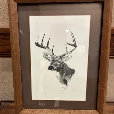 E. Parma 1979 Limited Edition Mule Deer Print 136/250