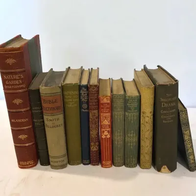 Antique And Vintage Books Lot 3