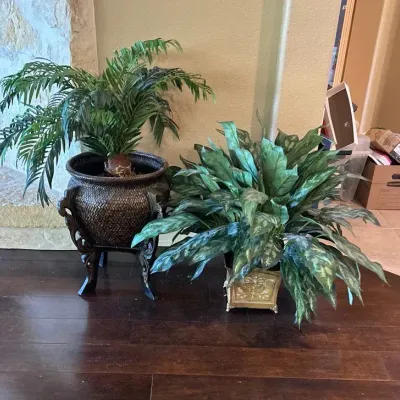 Faux Chinese Evergreen And Palm In Decorative Planters 