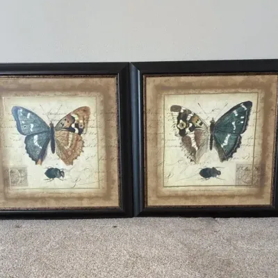 2 Raschella Post Script Butterfly Framed Wall Prints 35” X 35”
