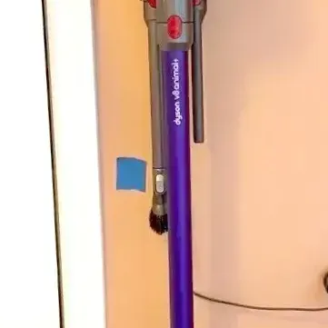 Dyson V8 Animal+ Cordless Stick Vacuum Cleaner, Tested | Clean