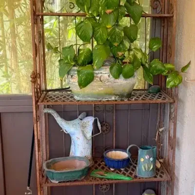 Wrought-iron Baker’s Rack, Devil’s Ivy, and Vintage Gardening Equipment