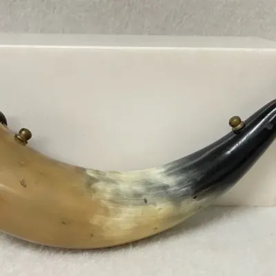 Gunpowder Cattle Horn