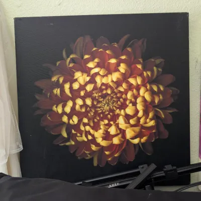 Sale Photo Thumbnail #229