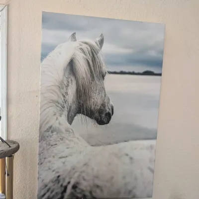 Sale Photo Thumbnail #396