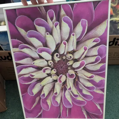 Sale Photo Thumbnail #292