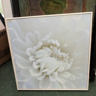 Sale Photo Thumbnail #286