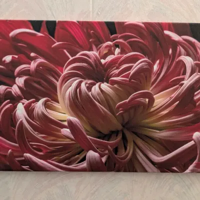 Sale Photo Thumbnail #200