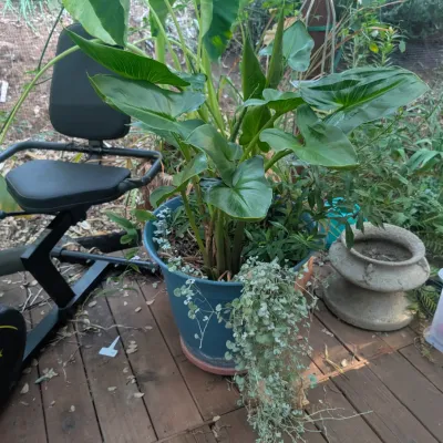 Sale Photo Thumbnail #452