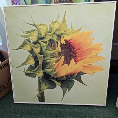 Sale Photo Thumbnail #274