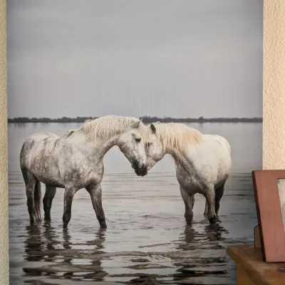 Sale Photo Thumbnail #398