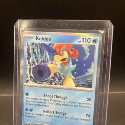 Sale Photo Thumbnail #100
