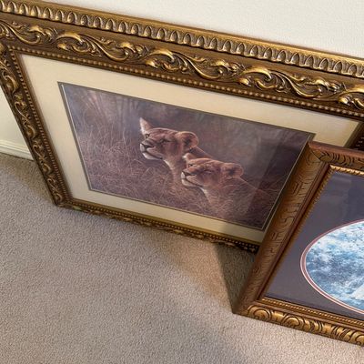 Sale Photo Thumbnail #181: Pictures, Flowers, animals and more.