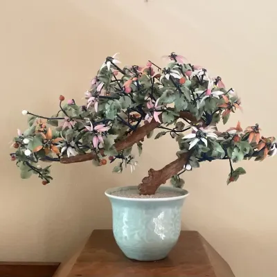 Chinese Decorative Bonsai Tree Featuring Jade-Like Leaves