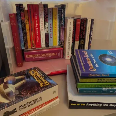 Ancient Mysteries Book Lot Graham Hancock Mushrooms Demystified San Diego Guide