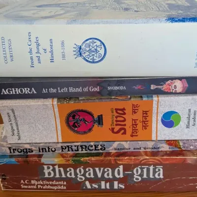 Spiritual Philosophy Book Lot Blavatsky Bhagavad Gita Aghora Frogs Princes