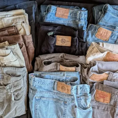Mens Clothing Lot Levis 501 Guess Eddie Bauer Jeans Chinos Shorts Sweater
