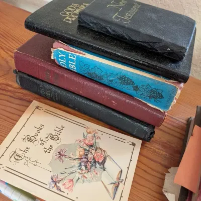 Vintage Bible Collection Lot Multiple Editions Illustrated Gideon Meher Baba