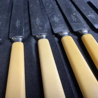 Vintage Celluloid/Bone Handle Dinner & Fruit Knives Group - Wyeth's & J. Russell Green River (8 Piec