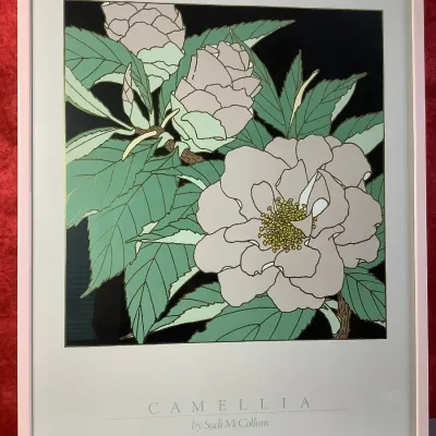 Sale Photo Thumbnail #240