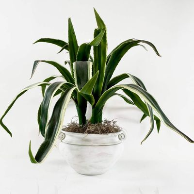 Sale Photo Thumbnail #57