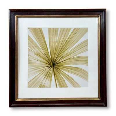 Sale Photo Thumbnail #106