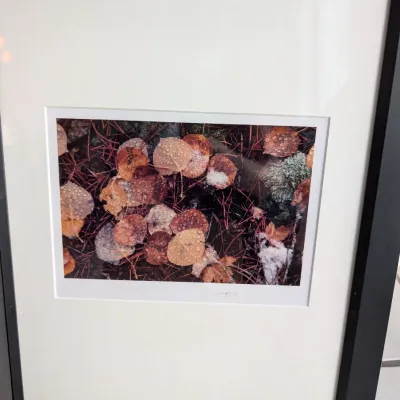 Sale Photo Thumbnail #23