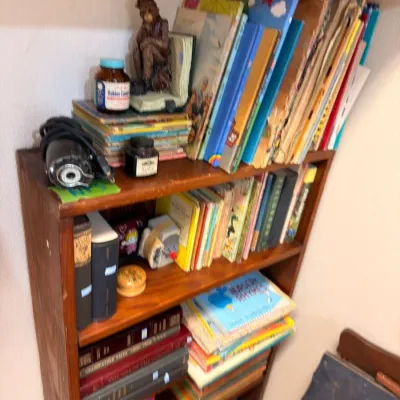 Bookcase of vintage children's books and Golden Books