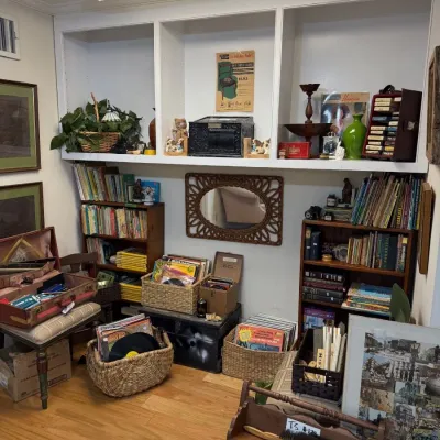 Bookshelves with vintage books and vinyl records