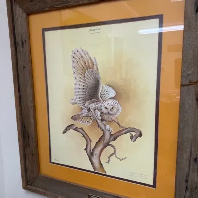 Signed snowy owl print in barn wood frame