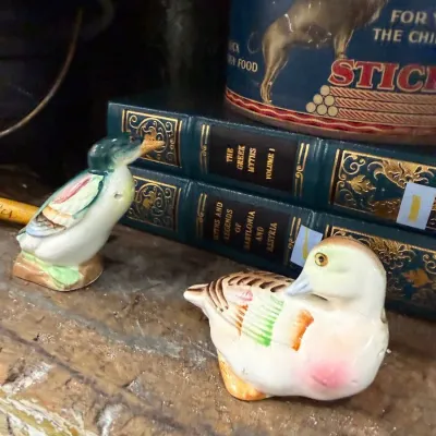 Pair of ceramic duck figurines with leather bound books
