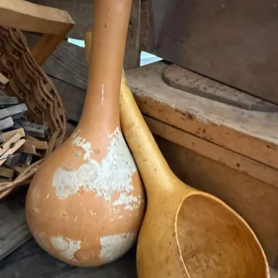 Antique dried gourd dipper and gourds