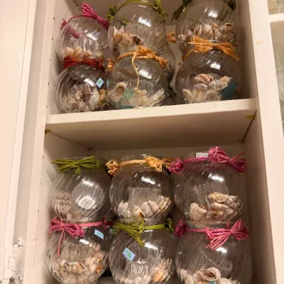 Collection of glass jars filled with seashells