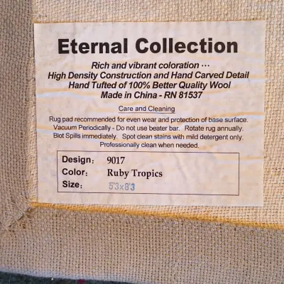 Hand-Tufted 100% Wool Rug 5'3" x 8'3" (P-ES)