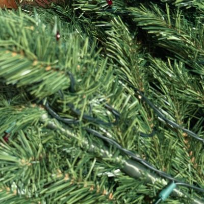 Sale Photo Thumbnail #154: .