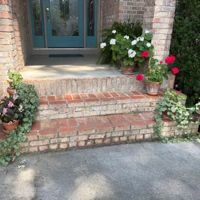 Sale Photo Thumbnail #33: Assorted potted outdoor plants, including red and white geraniums, pink begonias, and trailing vines in terracotta pots.