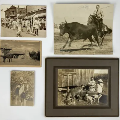 Sale Photo Thumbnail #518