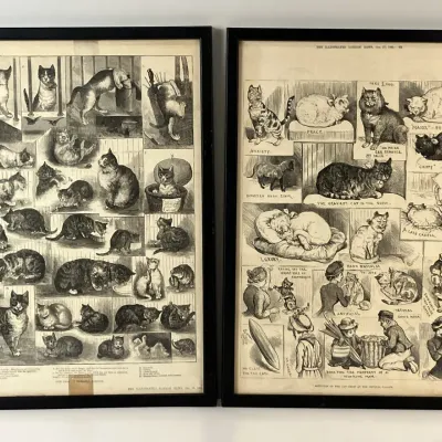 Sale Photo Thumbnail #263
