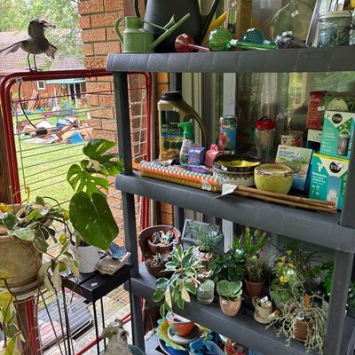 Sale Photo Thumbnail #111
