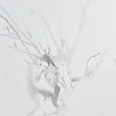 Original Nancy Shand Graphite on Paper - "Birds Nest Suspended on Driftwood I"