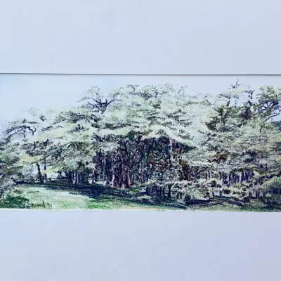 Original Nancy Shand Pastel on Paper - "Trees on Edge of Meadow"