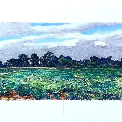 Original Nancy Shand Pastel on Paper - "Sapowet Potato Fields"