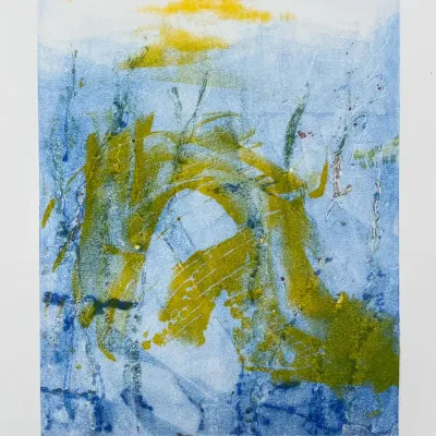 Original Nancy Shand Mono Print - "Floating By"