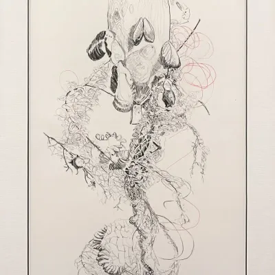 Original Nancy Shand Graphite / Red Pen on Paper - "Detritus from the Beach on Buoy"