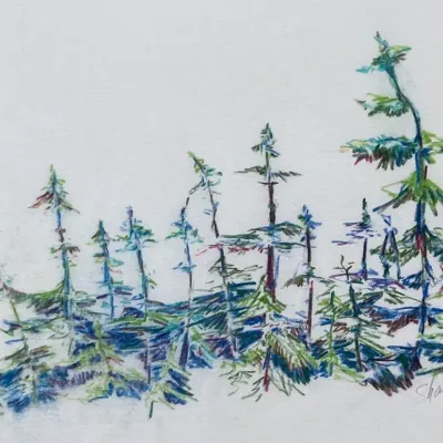 Original Nancy Shand Pastel on Paper - "Nova Scotia Trees"